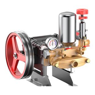 三缸柱塞泵打药机喷雾器高压农用园林果树小型家用电动喷洒农药泵