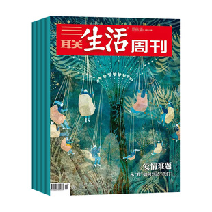 【2026年1-6期新】三联生活周刊杂志全年/半年订阅/2025年1-52期 年里新味 好工作的新标准 A股十年新高 爱情L看天下读者新闻过刊