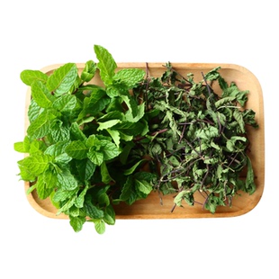 留兰香薄荷干叶整支 干叶碎 克拉香草出品 有机种植