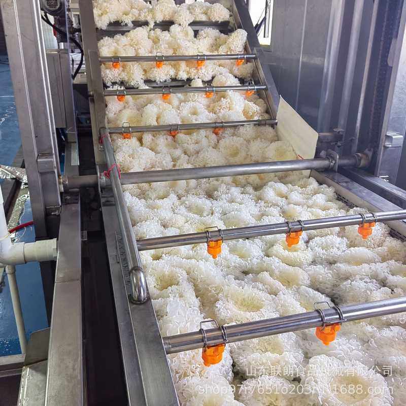 商用柑橘气泡清洗机大枣苹果高压喷淋式洗果机果蔬去泥沙清洗设备,清洗/食品/商业设备,洗果机/洗菜机,淘宝优惠券,粉丝福利购,淘宝优惠卷