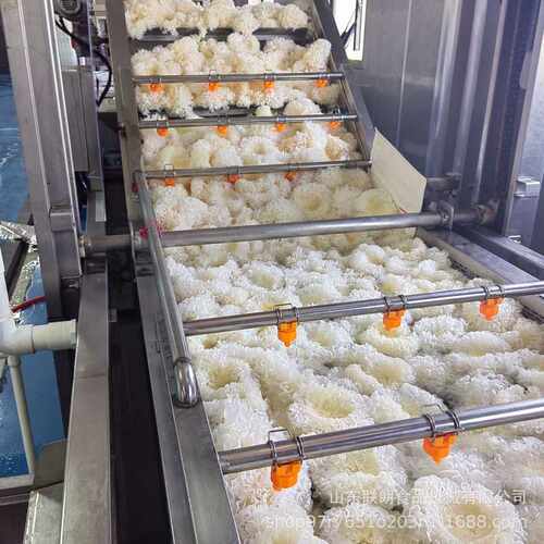 商用柑橘气泡清洗机大枣苹果高压喷淋式洗果机果蔬去泥沙清洗设备