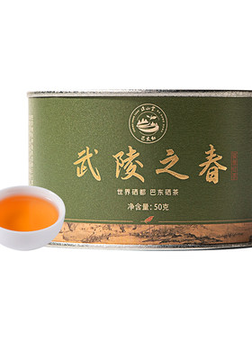 正山堂巴东红特级罐装红茶茶叶