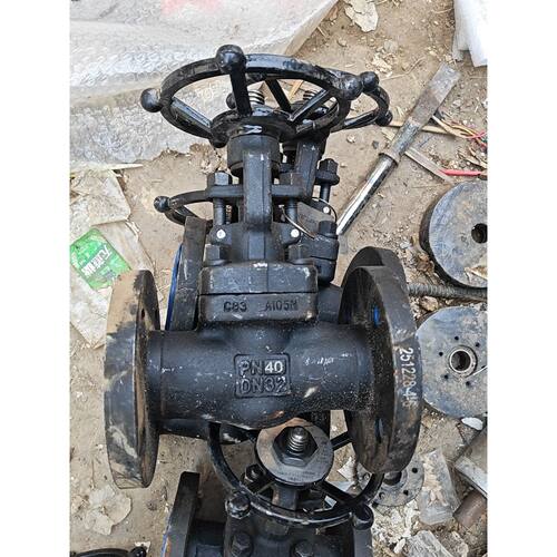 Z41H-40 PN40 DN32 A1 美富克锻钢闸阀 型号
