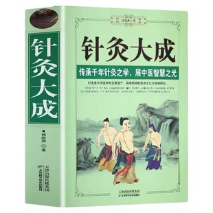 正版 针灸大成 原文集注白话解完整版杨继洲艾灸中医针灸基础理论临床医学全针灸易学全集内经甲乙经校释灸绳董氏奇穴治疗析要书籍