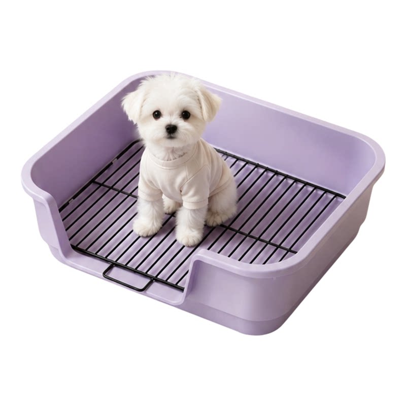 中小型犬定点防踩屎狗厕所