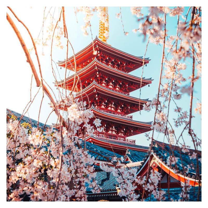 日本五年北京拒签退高出签