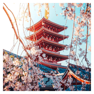 日本·五年多次旅游签证·北京送签·【美亚旅游】拒签全退可加急简化出签率高日本五年三年单次个人旅游签证