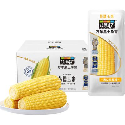 北纬47°东北鲜食玉米二次清洗