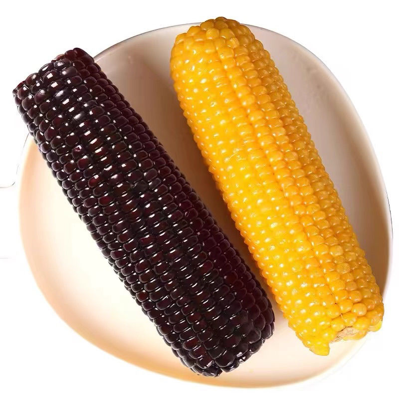 【25年源头12根5-6斤】东北黑糯玉米甜糯玉米棒花青素早餐真空3根