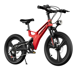 永久儿童自行车8-15岁超轻镁合金车架碟刹变速车青少年学生自行车