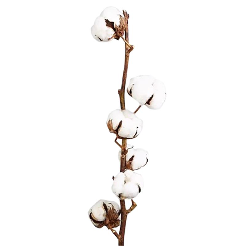 新疆棉花干花仿真棉花 卧室床头客厅玄关装饰摆件拍照道具