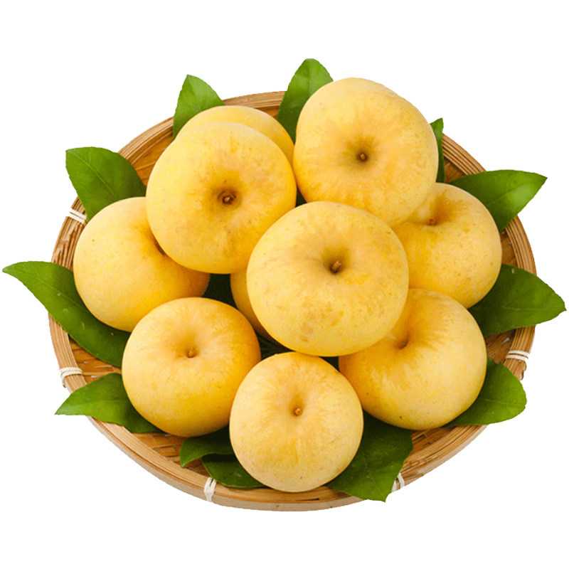 顺丰礼盒10斤山东维纳斯黄金苹果新鲜水果应季整箱富士时令丑特产