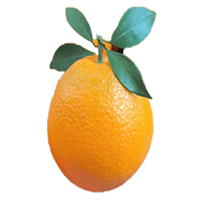 农叮咚【品牌果园直营】重庆奉节脐橙10斤纽荷尔橙子官方旗舰店