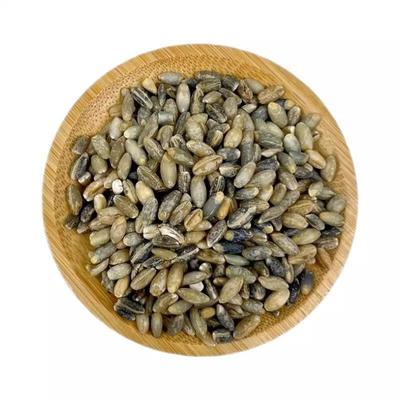 去皮青稞米农家食用代餐煮粥粗粮优质蓝青稞米五谷杂粮大麦仁粗粮