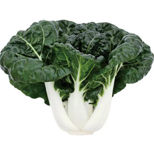 奶白菜种子小白菜青菜黑油菜春季四季蔬菜种籽秋矮脚秋播种孑冬季