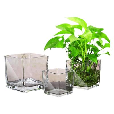 简约水培花盆玻璃器皿水养植物瓶透明花器绿萝白掌正方形花瓶容器