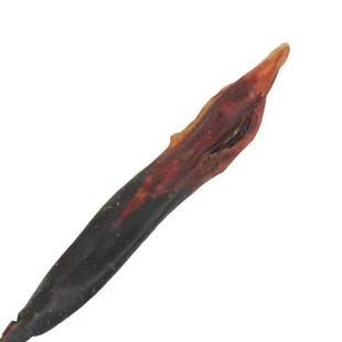 吉林养殖鹿尾70g泡酒炖煮红烧长春顺丰包邮老年整个传统干货食材