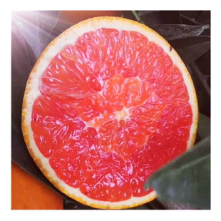 正宗重庆云阳红橙三峡中华红血橙红肉应当季现摘新鲜水果孕妇吃10