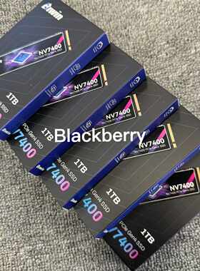佰维（BIWIN）1TB SSD固态硬盘M.2接口(NVMe