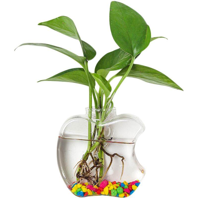 创意墙上悬挂小花瓶贴墙水培植物花瓶