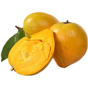 正宗鸡蛋果新鲜海南蛋黄果孕妇应季当季水果云南特产广西大果送礼