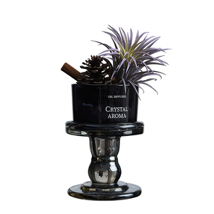 肉桂生财空气凤梨小盆栽办公室内绿植客厅桌面摆件植物创意礼物