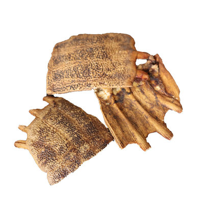 正品250g上甲制龟板中药材