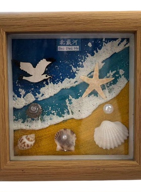 海边天然贝壳海螺diy标本框手工礼物纪念画框中空正方形简约相框