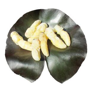 蜂蛹二级金环虎头蜂新鲜土蜂天然大马蜂拥胡蜂蚂蜂地雷蜂野生500g