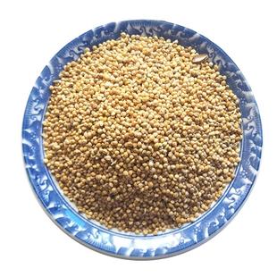 谷子稷子带壳小米粮民俗传统五谷东北农家杂粮带皮黄小米五谷杂粮