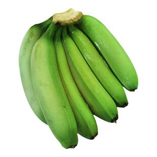 广东本地香蕉高州遁地雷蕉新鲜10斤高脚芝麻香蕉甜糯青绿皮自然熟