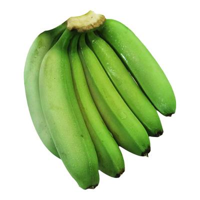 不泡药水广东本地香蕉高州遁地雷