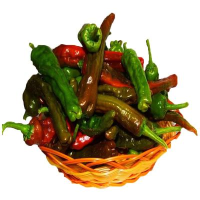 新鲜皱皮辣椒鲜代旺枣庄薄皮辣椒