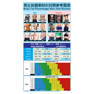 健身房体脂率对照表身体BMI指标参考图人体姿势对比图体态评估表
