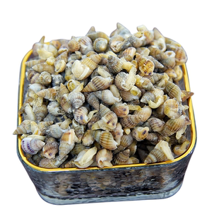 海螺丝鲜活海锥冷冻海瓜子熟冻海锥大号麻辣海螺丝新鲜螺丝海鲜