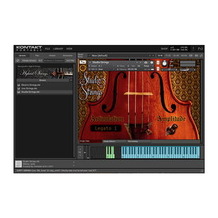 东方弦乐音源新疆东亚中东民族风格音色Hydrid Strings混合弦乐