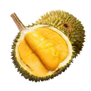 【自营】市舶士D200马来西亚进口黑刺榴莲液氮整果顺丰包邮新鲜