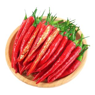 朝天椒秧苗苗子辣椒苗小米辣小米椒树树苗南方盆栽蔬菜菜苗孑秧苗