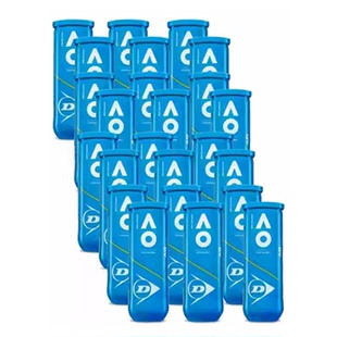 DUNLOP WILSON Slazenger史莱辛格邓禄普欧帝尔整箱odear比赛网球