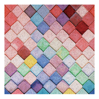 入户进门丝圈玄关地垫