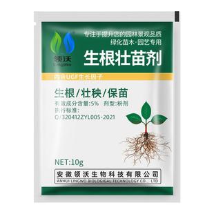 快速生根粉植物通用生根扦插移栽多肉家用盆栽树木壮根生根壮苗剂