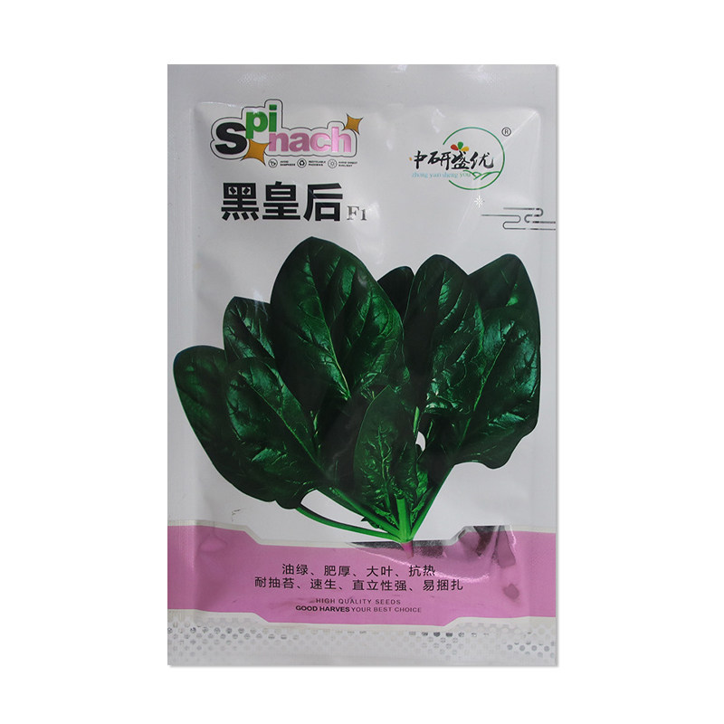 中研盛优黑皇后菠菜种子