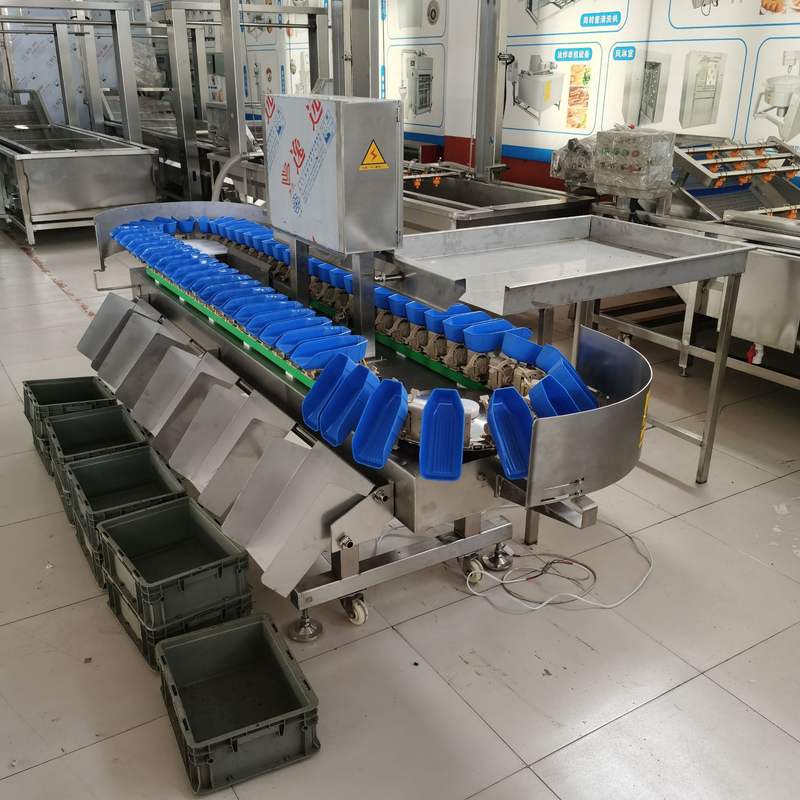 重量分选机 多级别自动称重水果分拣机 连续式鸡鸭鱼分选设备厂家