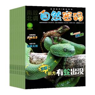 自然密码杂志2026年1-2月(2025年/全年/半年订阅)探索与发现儿童画报科海故事博览探秘10-15岁青少年少儿科普科学阅读南腔北调过刊
