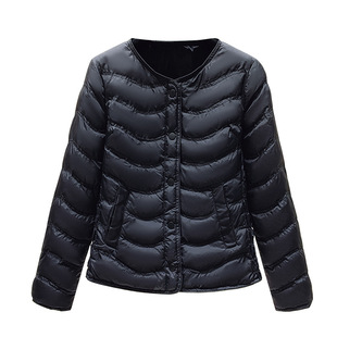 秋冬新款女士拉链棉衣时尚绣花棉袄保暖上衣短款内穿轻薄内胆棉服