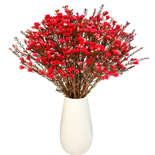 腊梅鲜花云南基地直发红粉色插水养冬季鲜切花同城速递年宵花鲜花