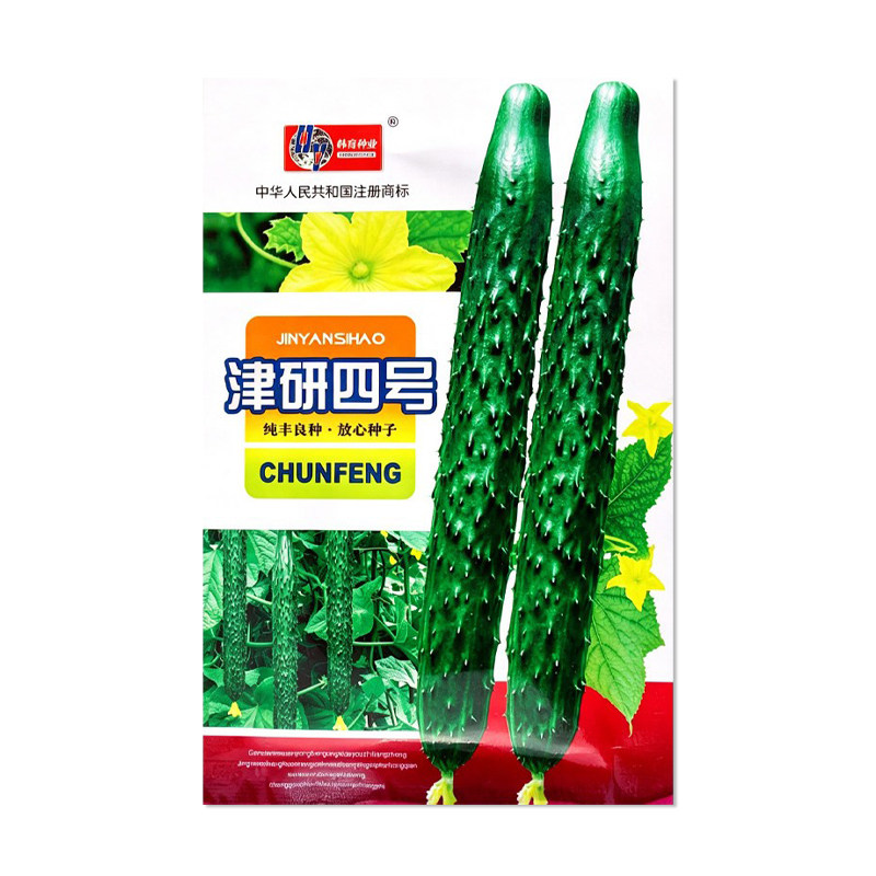 韩育津研四号黄瓜种子