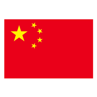 2354号防水国旗五星红旗中国国旗党旗装饰大号1号四五三号户外型旗子定制印logo团旗旗帜定做带旗杆伸缩导游