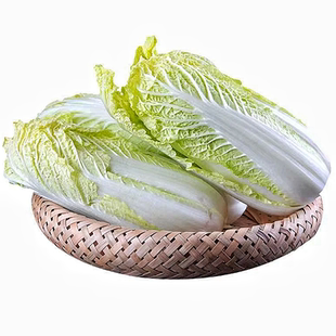 大理有机种植黄心娃娃菜白菜不打药高山生吃露天鲜嫩脆甜顺丰现摘