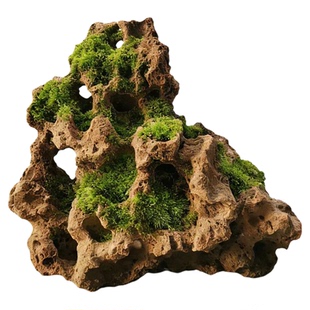 吸水石上水石鱼缸造景微景观捕虫堇菖蒲符石雕刻观赏摆件盆景造景